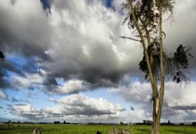 牛八体育：森林狼回應華子的呼聲 決心找到自己的位置繼續爭奪榮耀.